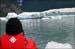 Seals On Iceberg In lake