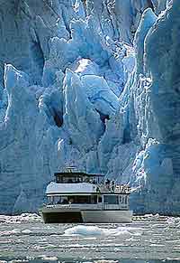 Tracy Arm Fjords Tide Water Glacier