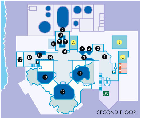 Alaska Sea Life Center Tour Map