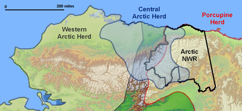Arctic National Wildlife Refuge Caribou - Map