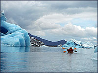 Bear Glacier Sea Kayaking