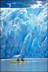 Bear Glacier Kenai Fjords