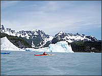 Bear Glacier Ice Bergs