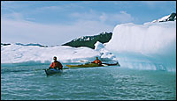Bear Glacier Sea Kayaking