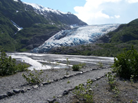 Exit Glacier Loop Trail