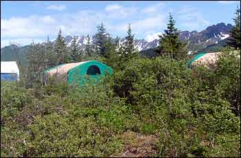 Bear Glacier Wilderness Retreat Glamping Lodge