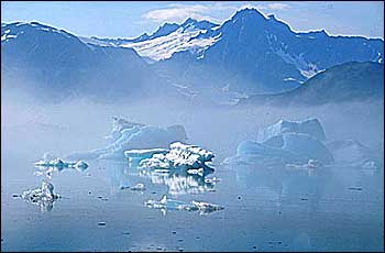 Bear Glacier Wilderness Retreat Icebergs