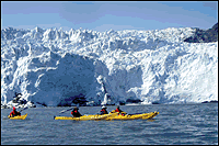 Kenai Fjords Seward Sea Kayaking