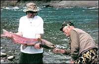 King Salmon Fishing on Lake Creek Alaska