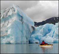 Bear Glacier Ice Bergs Sea Kayaking