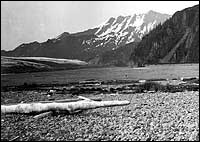 Bear Glacier 1909 Backcountry Safaris