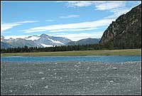 Bear Glacier 2005 Backcountry Safaris
