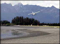 Fly-in Alaska Bear Veiwing