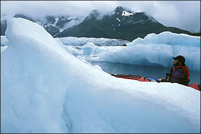 Icebergs, Kenai Fjords National Park