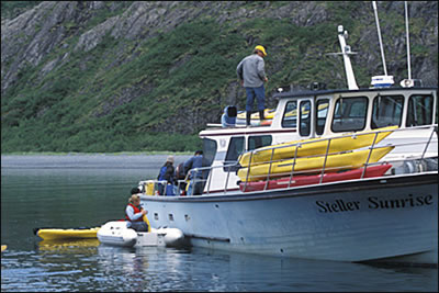 Aialik Bay Charter, Kenai Fjords National Park
